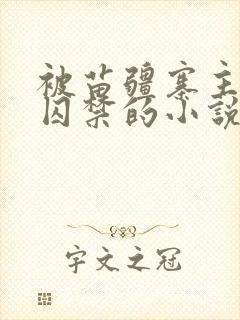 被苗疆寨主抓住囚禁的小说女主