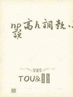 np高h调教小说