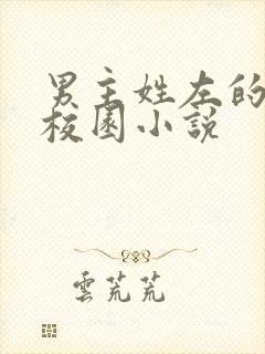 男主姓左的青春校园小说