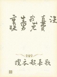 重生我真没想当暖男免费