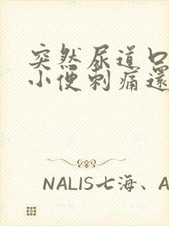 突然尿道口疼痛小便刺痛还流血