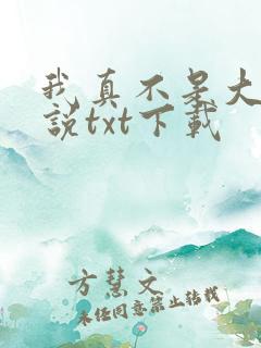 我真不是大佬小说txt下载