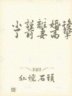 小说离婚后我成了前妻高攀不起的神