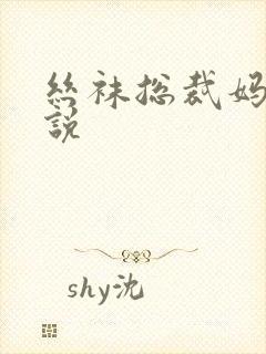 丝袜总裁妈妈小说