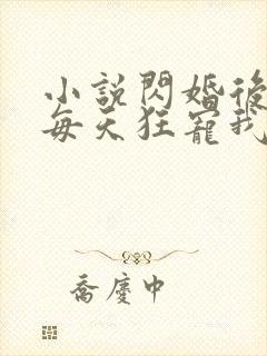 小说闪婚后大叔每天狂宠我完整版