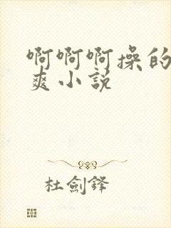 啊啊啊操的我好爽小说