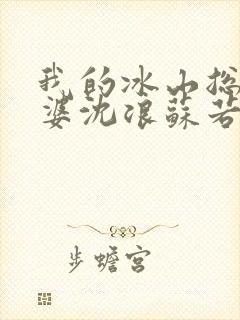 我的冰山总裁老婆沈浪苏若雪