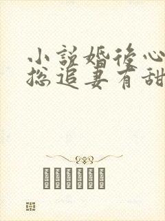 小说婚后心动凌总追妻有甜