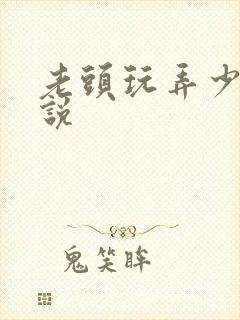 老头玩弄少妇小说