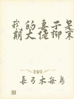 我的妻子是大乘期大佬柳寒烟结局