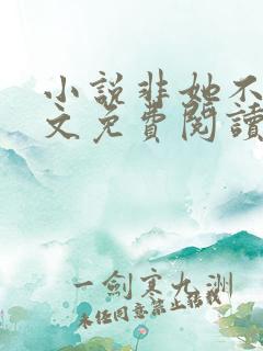 小说非她不可全文免费阅读