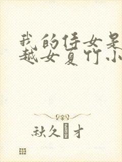 我的侍女是个穿越女夏竹小说