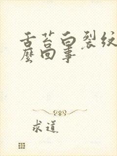 舌苔白裂纹是怎么回事