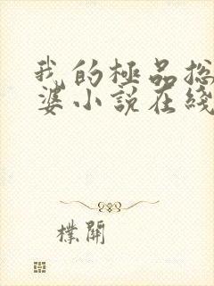 我的极品总裁老婆小说在线阅读