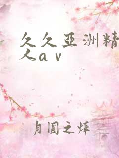 久久亚洲精品成人aⅴ