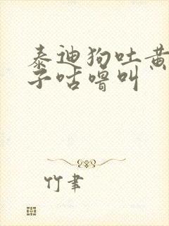 泰迪狗吐黄水肚子咕噜叫