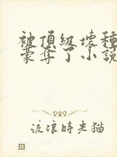 被顶级坏种强取豪夺了小说