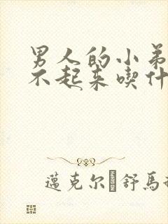 男人的小弟弟硬不起来吃什么药