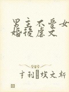 男主不爱女主的婚后虐文