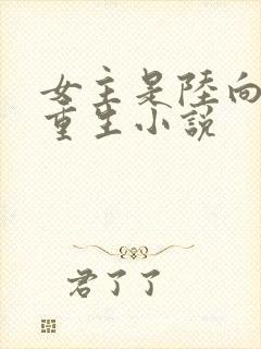 女主是陆向晚的重生小说