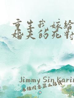 重生我嫁给了未婚夫的死对头