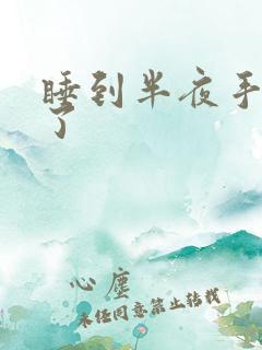 睡到半夜手麻醒了