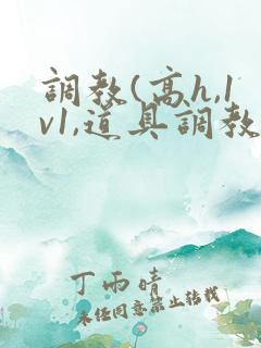 调教(高h,1v1,道具调教)