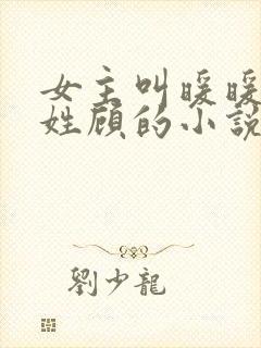 女主叫暖暖男主姓顾的小说