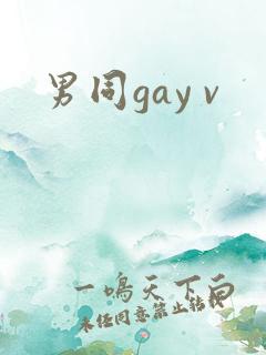 男同gay v