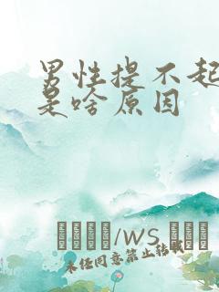 男性提不起兴趣是啥原因