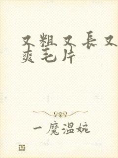 又粗又长又色又爽毛片