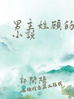 男主姓顾的总裁小说