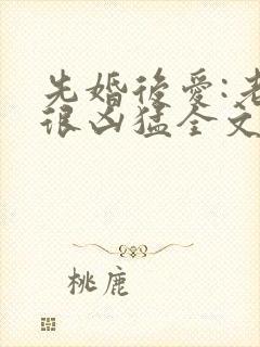 先婚后爱:老公很凶猛全文下载