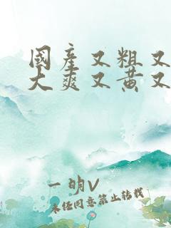 国产又粗又猛又大爽又黄又硬视频