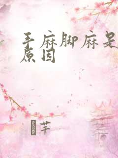 手麻脚麻是什么原因