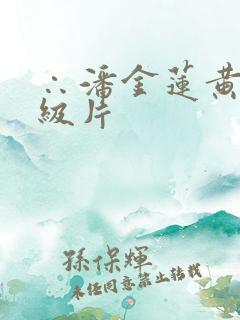 ∴潘金莲黄色一级片