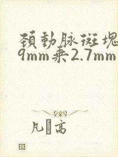 颈动脉斑块9.9mm乘2.7mm严重吗