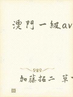 澳门一级av
