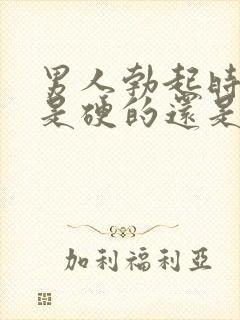 男人勃起时龟头是硬的还是软的