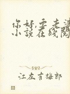 你好,要老婆吗小说在线阅读