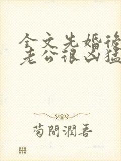 全文先婚后爱:老公很凶猛