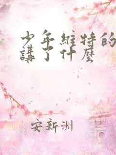 少年维特的烦恼讲了什么