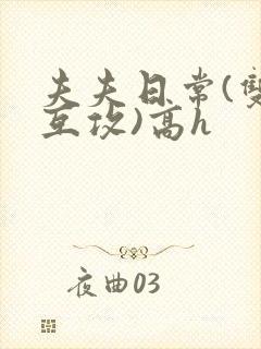 夫夫日常(双性互攻)高h