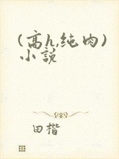 (高h,纯肉)小说