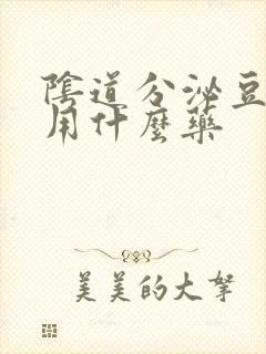 阴道分泌豆腐渣用什么药