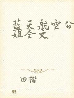 蓝天航空公司空姐全文