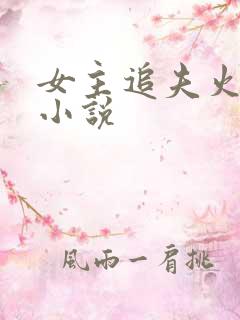 女主追夫火葬场小说