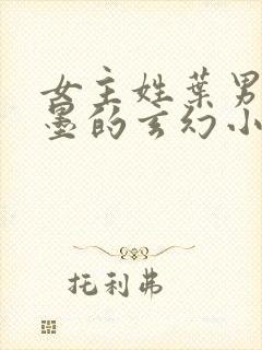 女主姓叶男主姓墨的玄幻小说