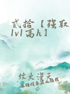 贰拾【强取豪夺1v1高h】