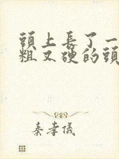 头上长了一根又粗又硬的头发